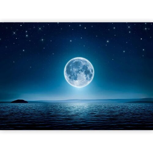  Foto tapeta - Moonlit night 500x350 Premium Cene