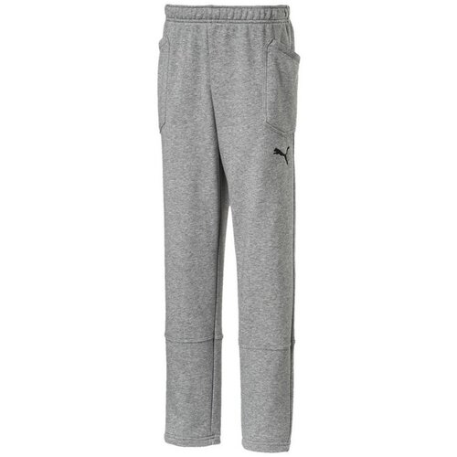 Puma Liga Casuals Pants Siva Slike