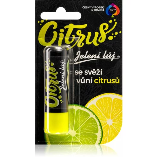 Regina Citrus balzam za usne citrus 4.5 g