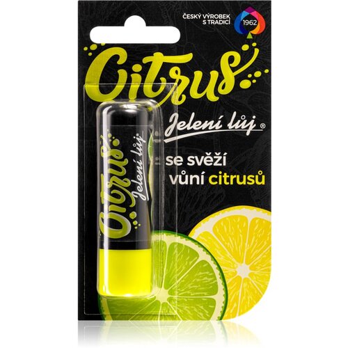 Regina Citrus mazilo za ustnice citrus 4.5 g Slike