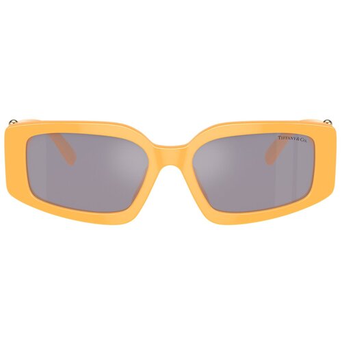 Tiffany Naočare za sunce TF 4208U 83842S Cene