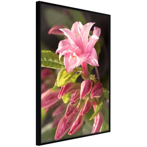  Poster - Garden's Centerpiece 30x45 Cene
