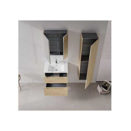 Hanah home Ormarić sa umivaonikom Messina 65 v2 831 Cene