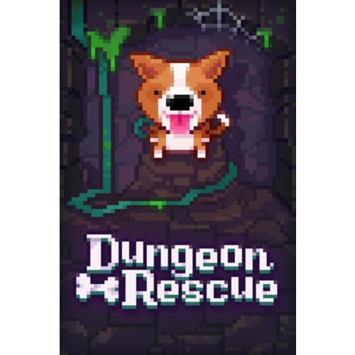 Steam Fidel Dungeon Rescue (PC) Key GLOBAL Cene