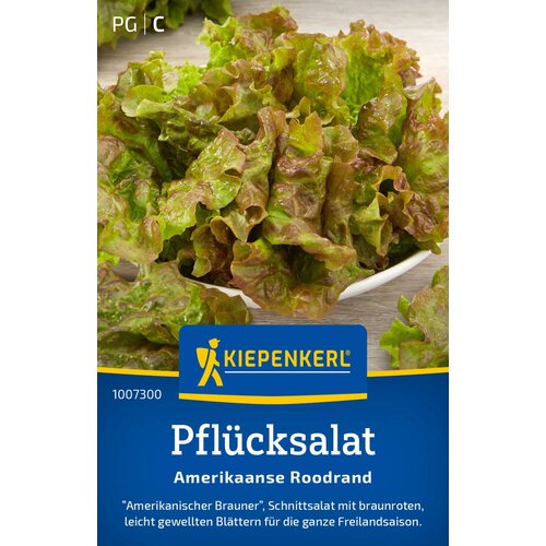 KIEPENKERL Zelena solata "American Brown" - 1 pkt. Cene