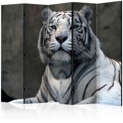  Paravan u 5 dijelova - Bengali tiger in zoo II [Room Dividers] 225x172 Slike