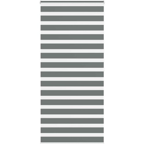 vidaXL Zavjesa zebra 95x200 cm &scaron;irina tkanine 90,9 cm poliester Cijene