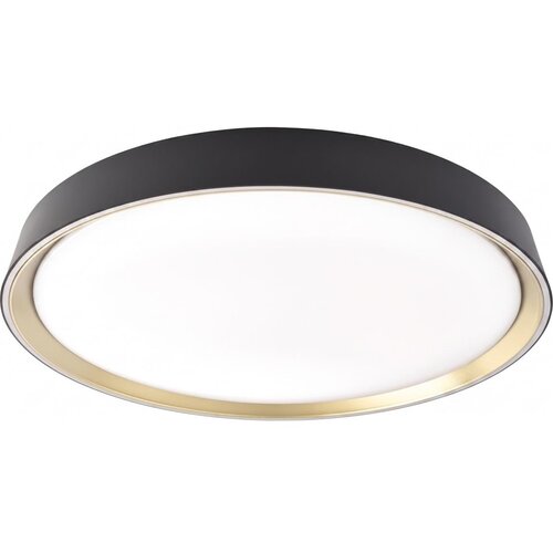  LED prigu&amp;scaron;iva stropno svetlo ILVI LED/30W/230V 2700-6500K pr. 40 cm crna/mesing + sa daljinskim upravljačem Slike
