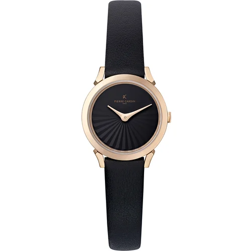 Pierre Cardin Watch