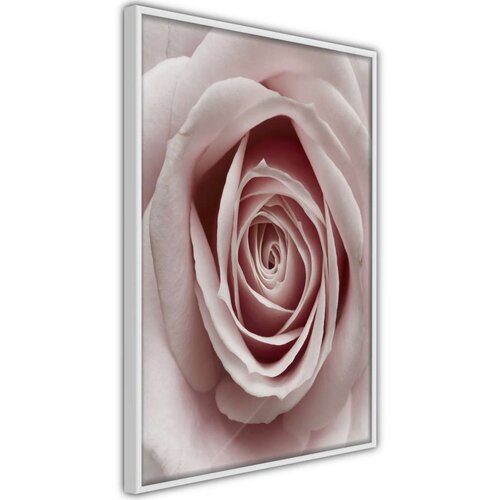  Poster - Rosebud 20x30 Slike