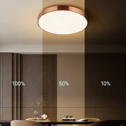  Immax NEO 07321L-LED stropna svetiljka NEO LITE SEMPLICI, prigu&amp;scaron;iva, 36 W / 230 V, prečnik 40 cm, bakarna, s daljinskim upravljačem Slike