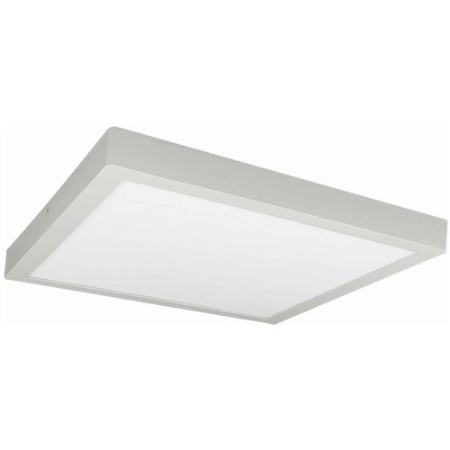  LED plafonsko svetlo FENIX LED/32W/230V 3800K 40 cm belo Cene