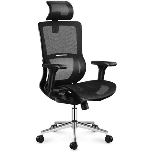 Ergonomska stolica Expert 6.2 Cene