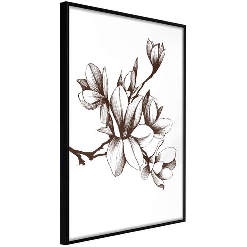  Poster - Fragrant Decoration 30x45 Slike