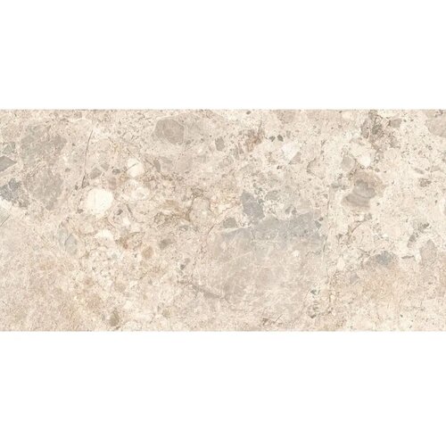 Terrazzo Rettificato 29,5x59 Cene
