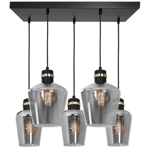  Luster na sajli RICHMOND 5xE27/60W/230V Cene