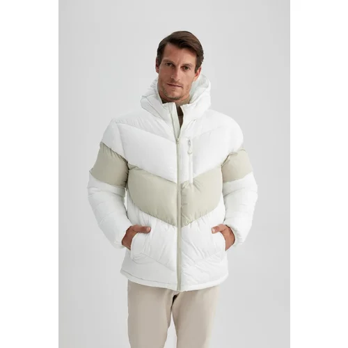 Defacto Regular Fit Hooded Puffer Down Coat