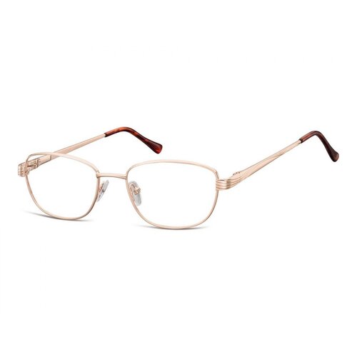 Berkeley naočare za kompjuter 796 C Slike