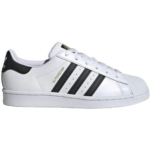 Adidas Modne superge Superstar Bela Cene