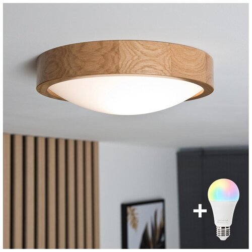  Brilagi-LED RGBW prigu&scaron;iva stropna svetiljka CARVALHO SLIM 1xE27/15W/230V Wi-Fi hrast, prečnik 27 cm Cene