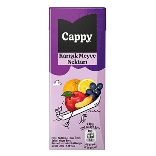 Cappy Sok mini miks tetrapak 200ml Slike