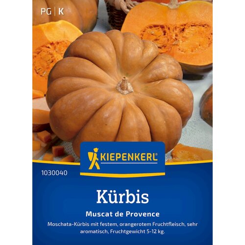 KIEPENKERL Buča "Muscat de Provence" - 1 pkt. Cene