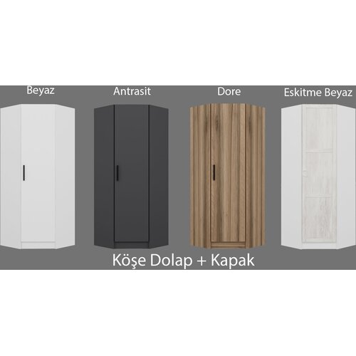 Hanah home Kale ormar, 74x190x52 cm, antracit boja Cene