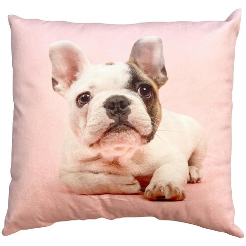 Lesnina-XXXL okrasna blazina french buldog Slike