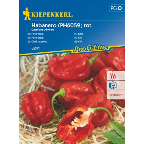 KIEPENKERL Čili Habanero rot Kiepenkerl (Capscium chinense)