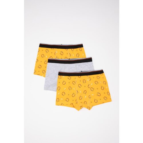 Defacto boy's 3-pack Boxer Cene