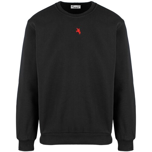 Pri Men's warm sweatshirt with ozodbone embroidery Cijene