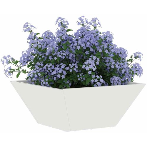  Vrtna saksija Bijelo 35 x 35 x 15 cm Čelična vrata Slike