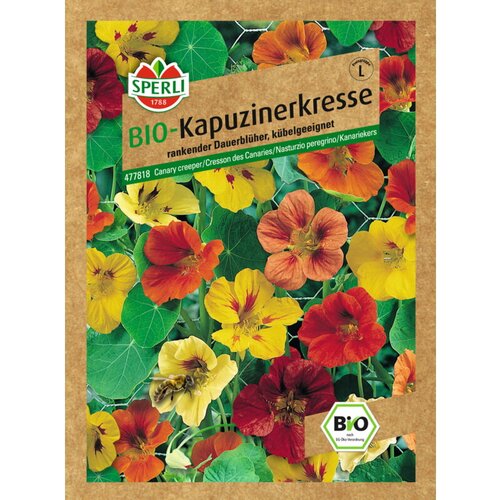 SPERLI sjeme začinskog bilja Dragoljub (Vrijeme sjetve: Svibanj) Slike