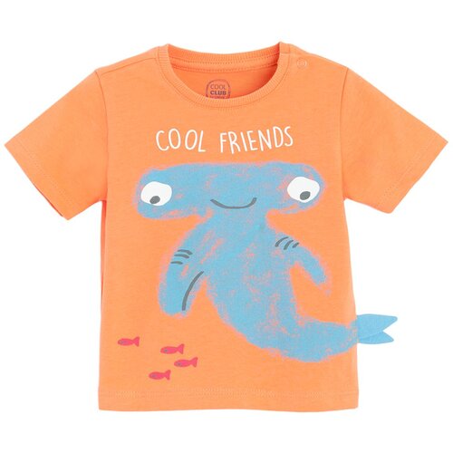 Cool club majica KR CCB2801762 F oranžna 62 Cene