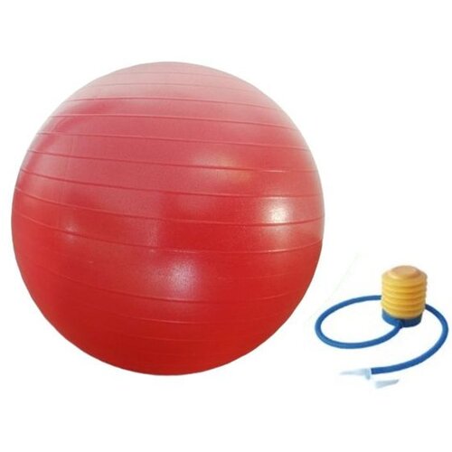  Za Pilates &amp;Oslash; 55 Cm Slike
