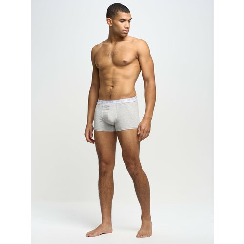 Big Star Man's Boxer Shorts Underwear 200033 Grey 901 Cene