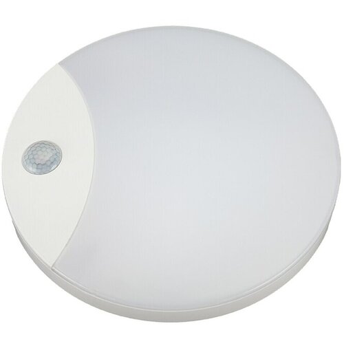 Greentech Okrogla LED stenska in stropna svetilka s senzorjem (16 W, Ø x V: 250 x 49 mm, Bela, Nevtralno bela) Cene