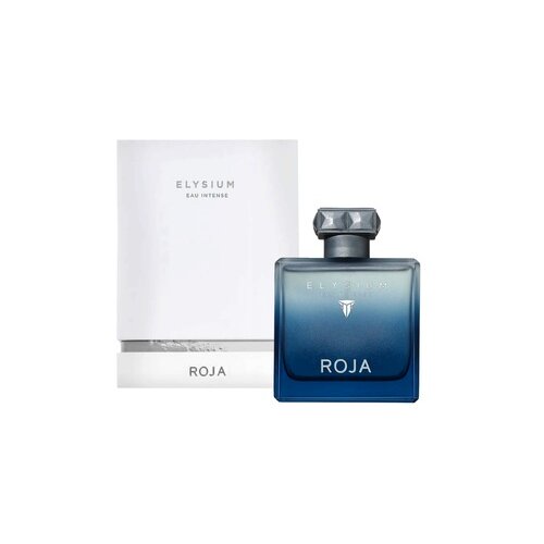 Roja Parfums Roja mu&amp;scaron;ki parfem Elysium Eau Intense Pour Homme 100ml Slike