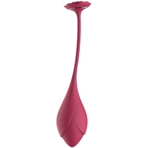 RayTech Rose - bežično, radio vibrirajuće jaje (crveno) Slike