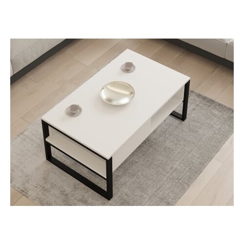HANNAH HOME Club sto Devon 100x60x44cm Bijeli Slike