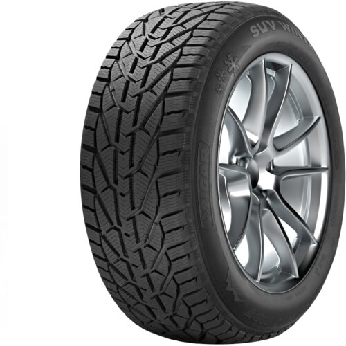 Tigar 195/65R15 91H Winter zim Cene