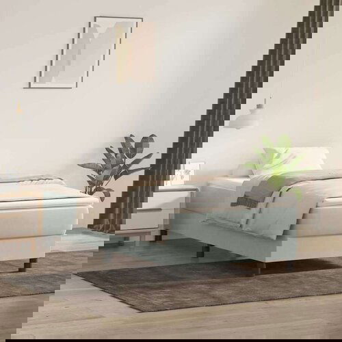 Box Spring krevet s madracem svijetlo sivi 80x210 cm baršun Cene