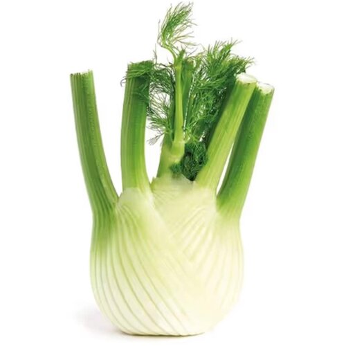 Maxi pijaca Komorac komad Cene