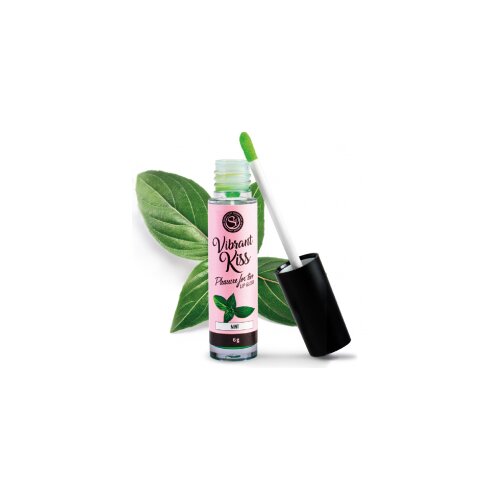 SecretPlay Stimulacijski balzam za ustnice Vibrant Kiss Mint Cene