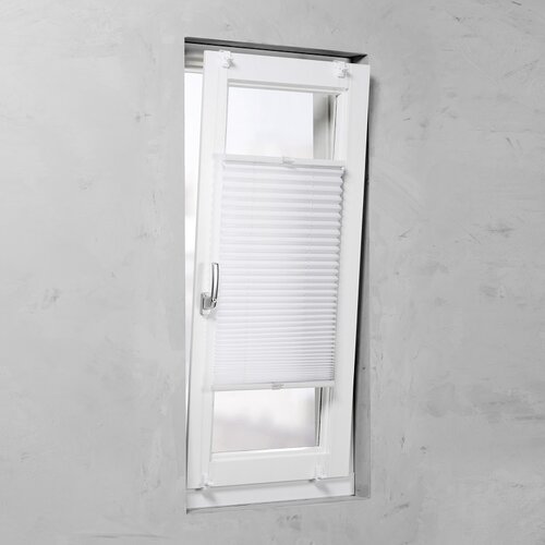x plissee zavjesa Basic VS TL (Š V: 45 130 cm, Bijele boje) Cijene