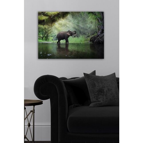 Wallity Slika 1145788340, 50x70 cm Cene