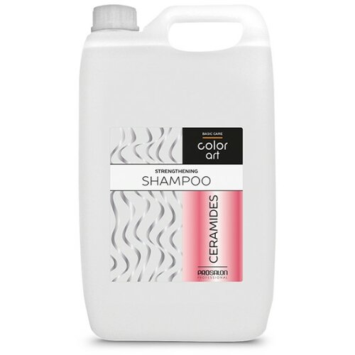 Prosalon šampon za kosu sa keramidima colorart - 5000ML Slike