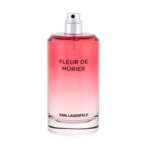 Karl Lagerfeld Les Parfums Mati&egrave;res Fleur de M&ucirc;rier 100 ml parfemska voda Tester za ženske Cijene