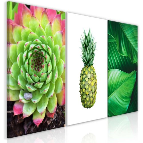  Slika - Treasures of the Tropics (3 Parts) 120x60 Slike