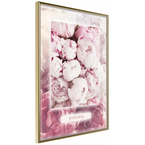  Poster - Scent of Peonies 40x60